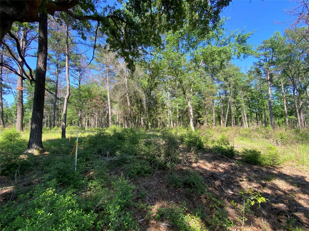 22 Pr 1313 Centerville, TX 75833