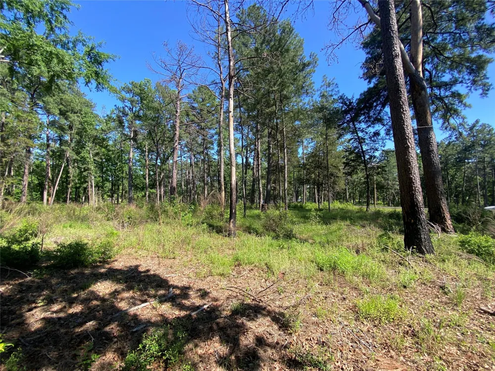 22 Pr 1313 Centerville, TX 75833