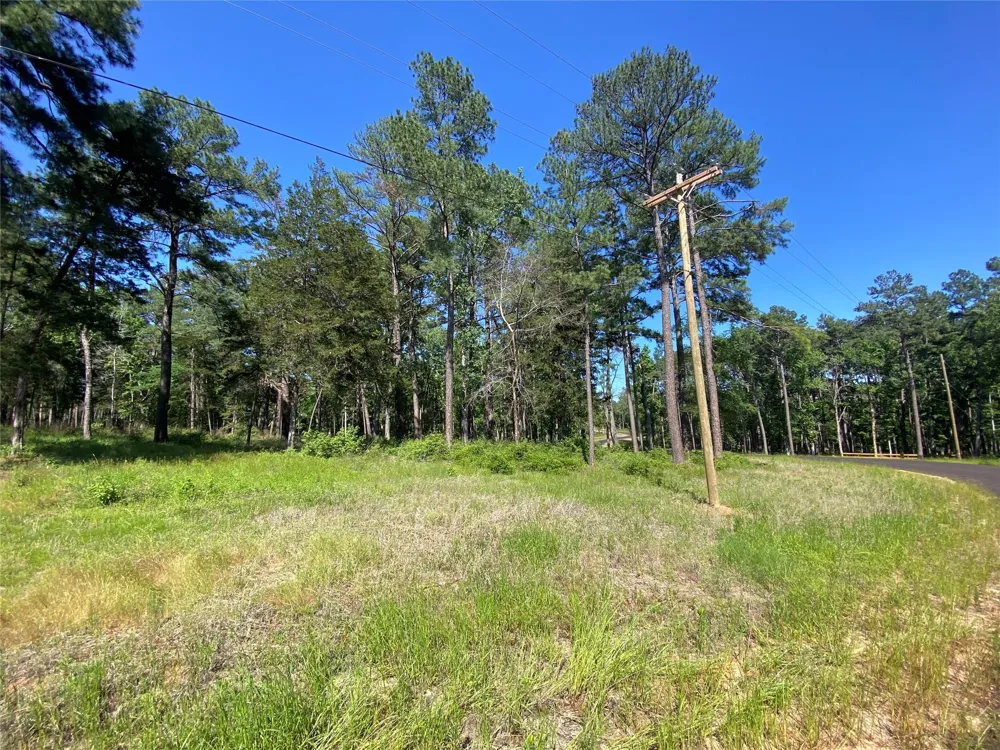 22 Pr 1313 Centerville, TX 75833