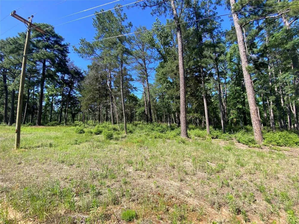 22 Pr 1313 Centerville, TX 75833