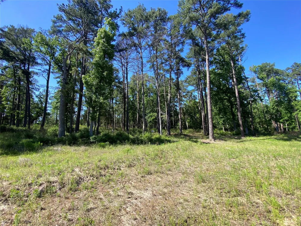 22 Pr 1313 Centerville, TX 75833