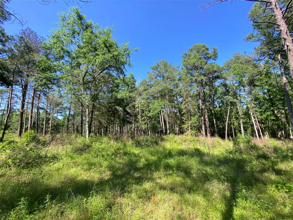 22 Pr 1313 Centerville, TX 75833