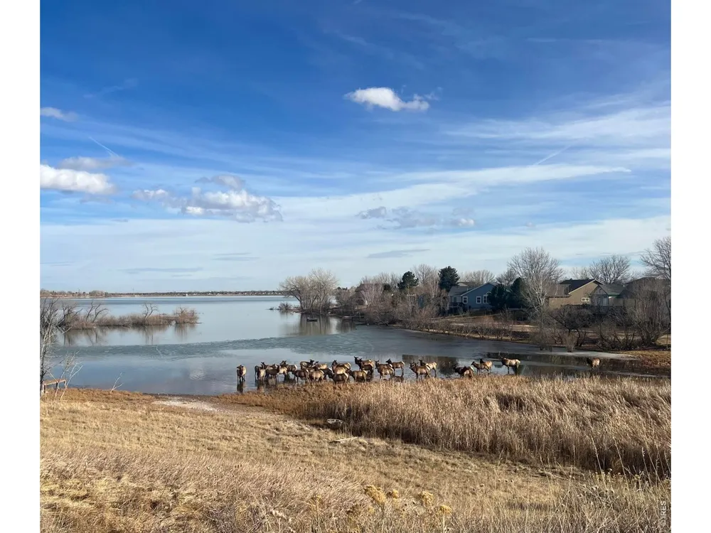 5416 Ferryboat Court Loveland, CO 80537