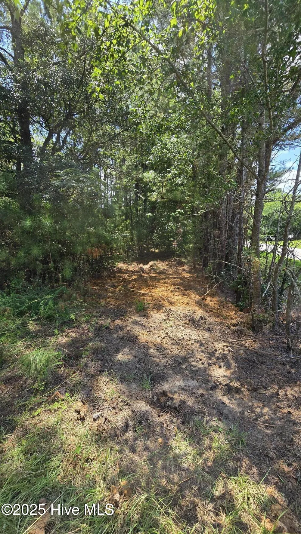 0 Underwood Road Murfreesboro, NC 27855