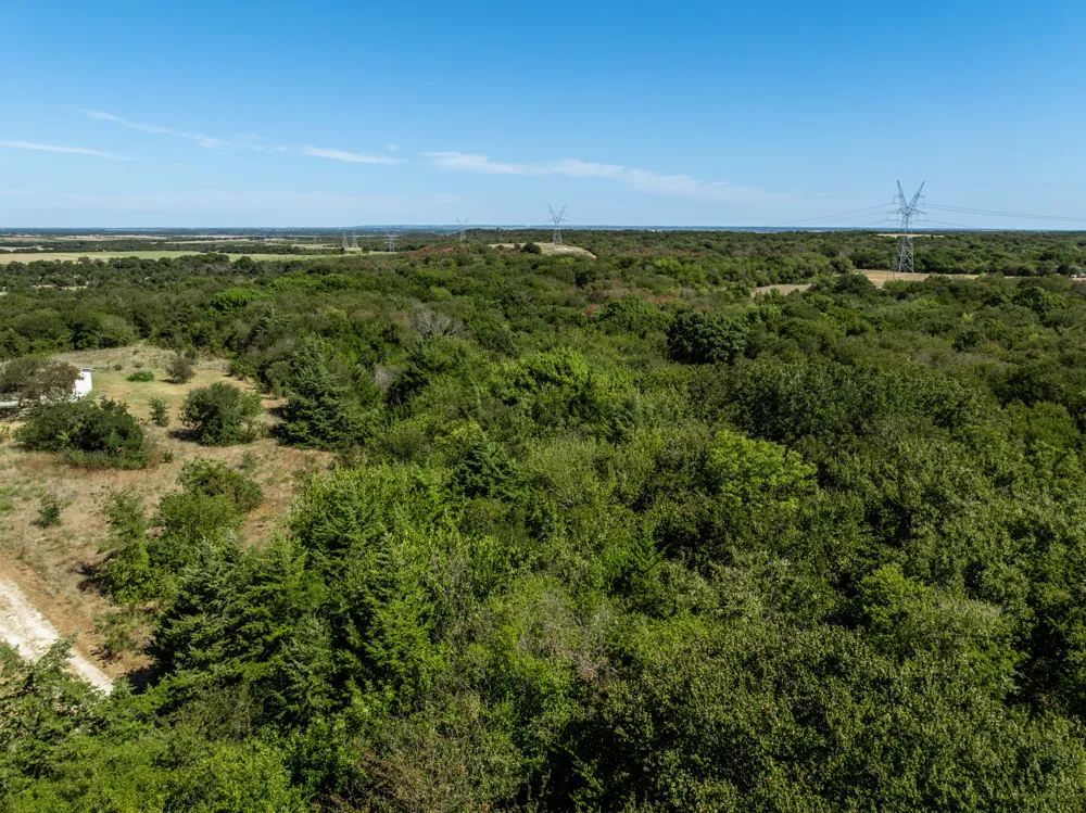 275 Hill County Road 4431 Itasca, TX 76055