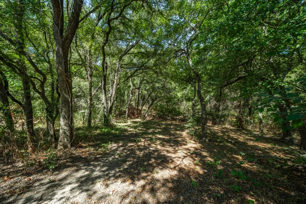 275 Hill County Road 4431 Itasca, TX 76055