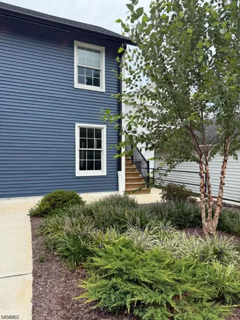 5 Mill Street