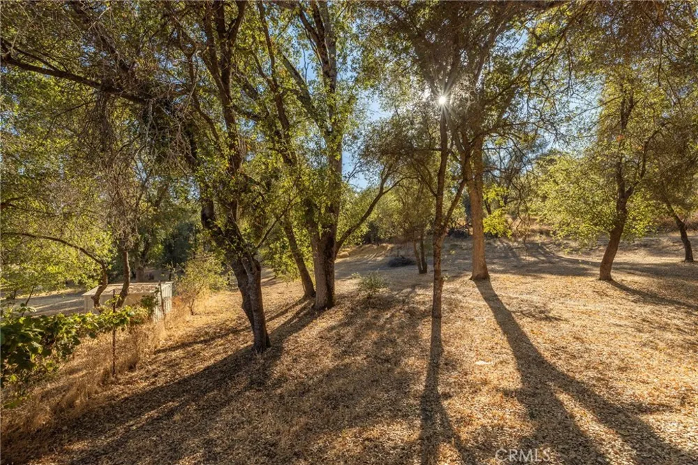 58208 Road 601 Ahwahnee, CA 93601