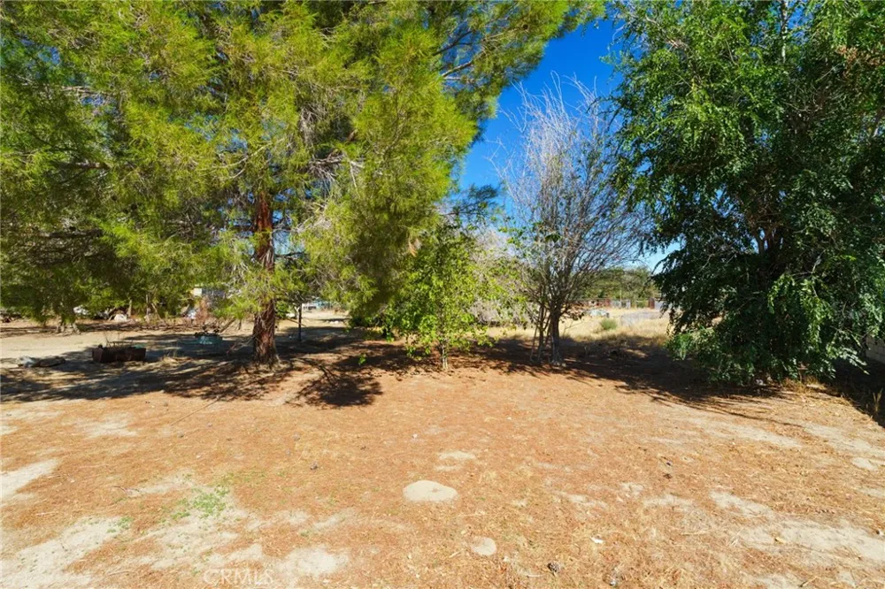 10821 E Avenue R14 Littlerock, CA 93543