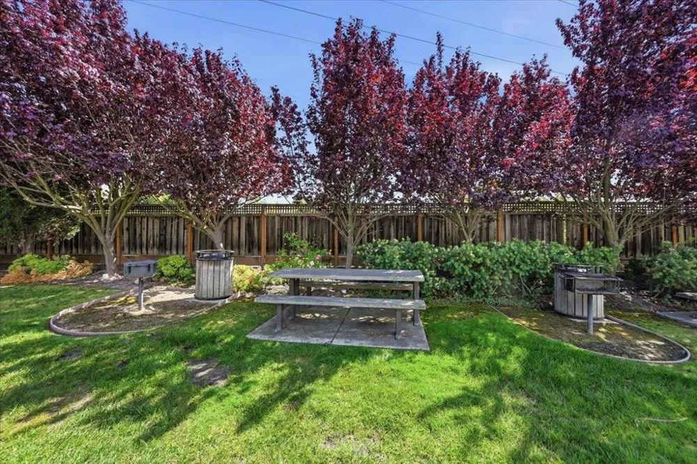 176 Paso Olmo Terrace Fremont, CA 94539