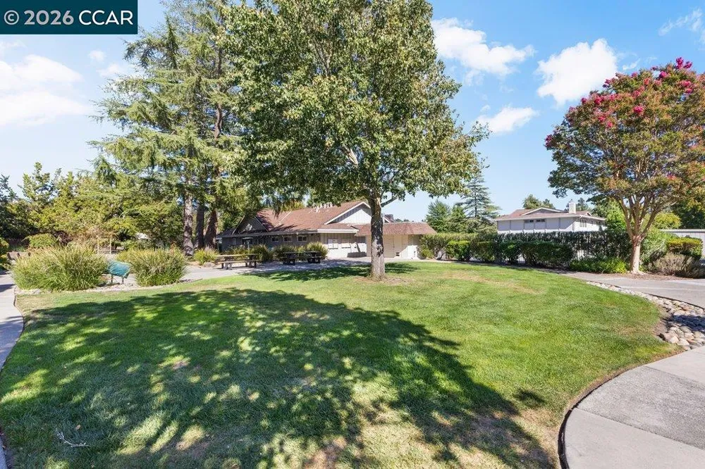 143 Miramonte Dr Moraga, CA 94556