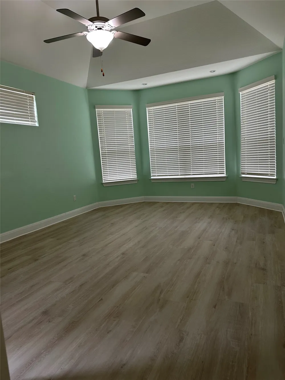 4237 Privacy Hedge Street Leander, TX 78641