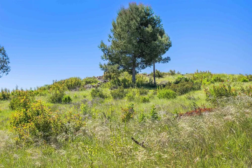 Golden Eagle Trail San Marcos, CA 92078