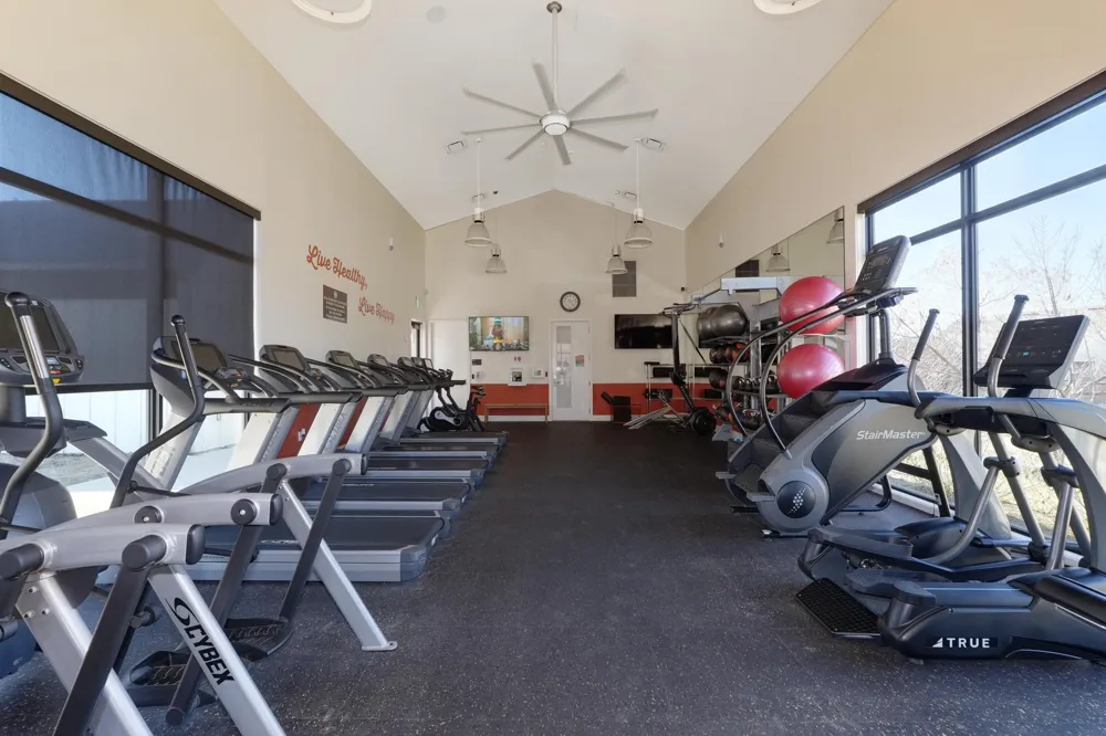 193 Fluttermill Loop Liberty Hill, TX 78642
