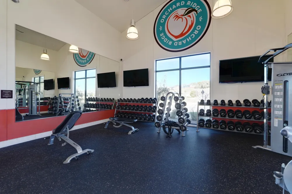193 Fluttermill Loop Liberty Hill, TX 78642