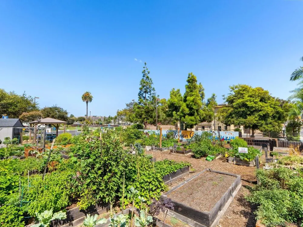 1482 El Prado Lemon Grove, CA 91945