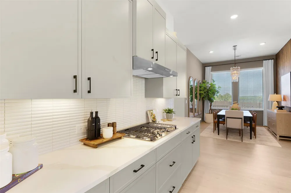 4754 Regents Place Round Rock, TX 78665