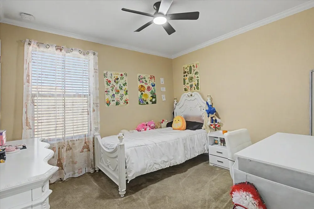 14121 James Garfield Street Manor, TX 78653