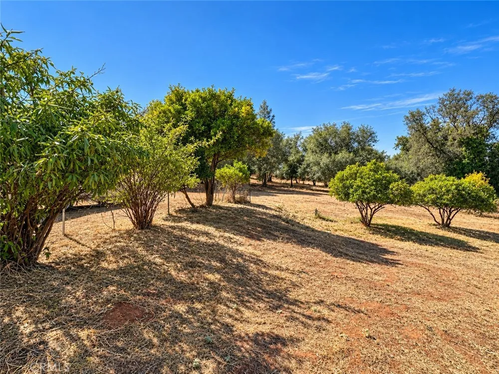 450 Oakvale Oroville, CA 95966
