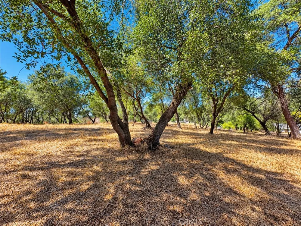 450 Oakvale Oroville, CA 95966