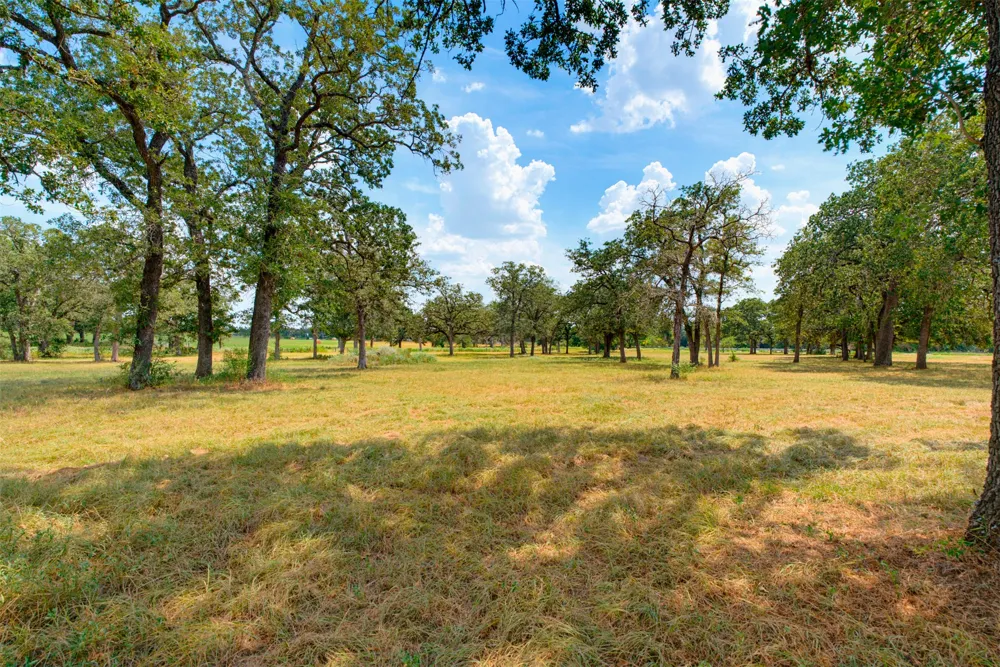 16905 Fm 112 Thrall, TX 76578