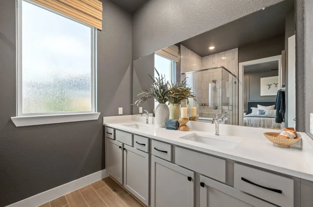 4808 Regents Place Round Rock, TX 78665