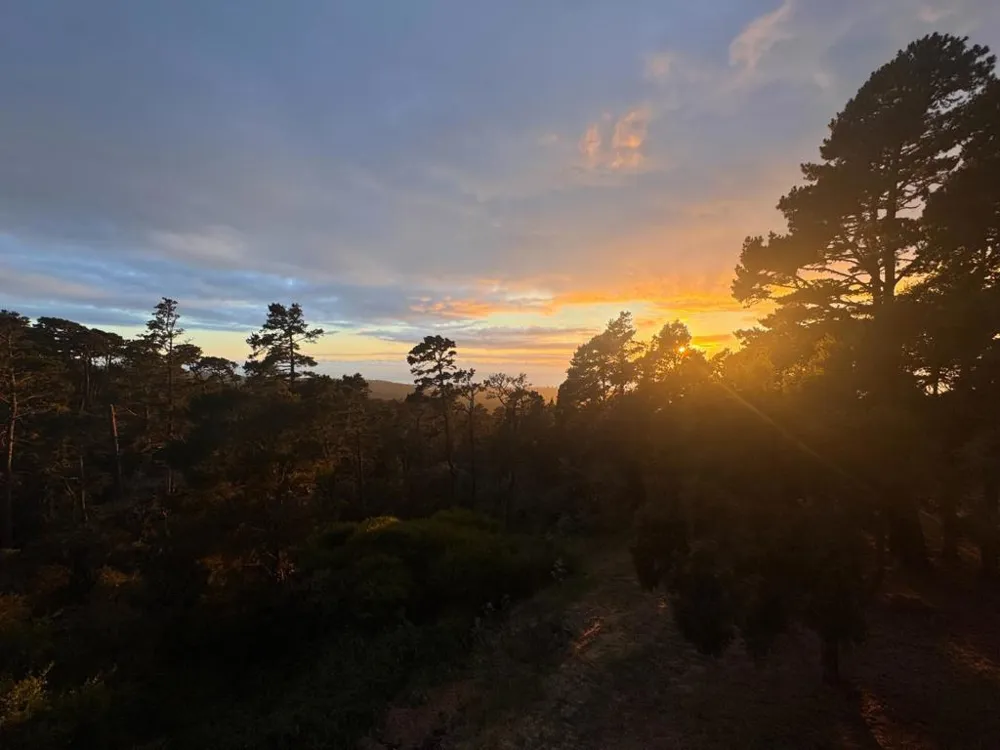 250 Forest Ridge Road #42 Monterey, CA 93940