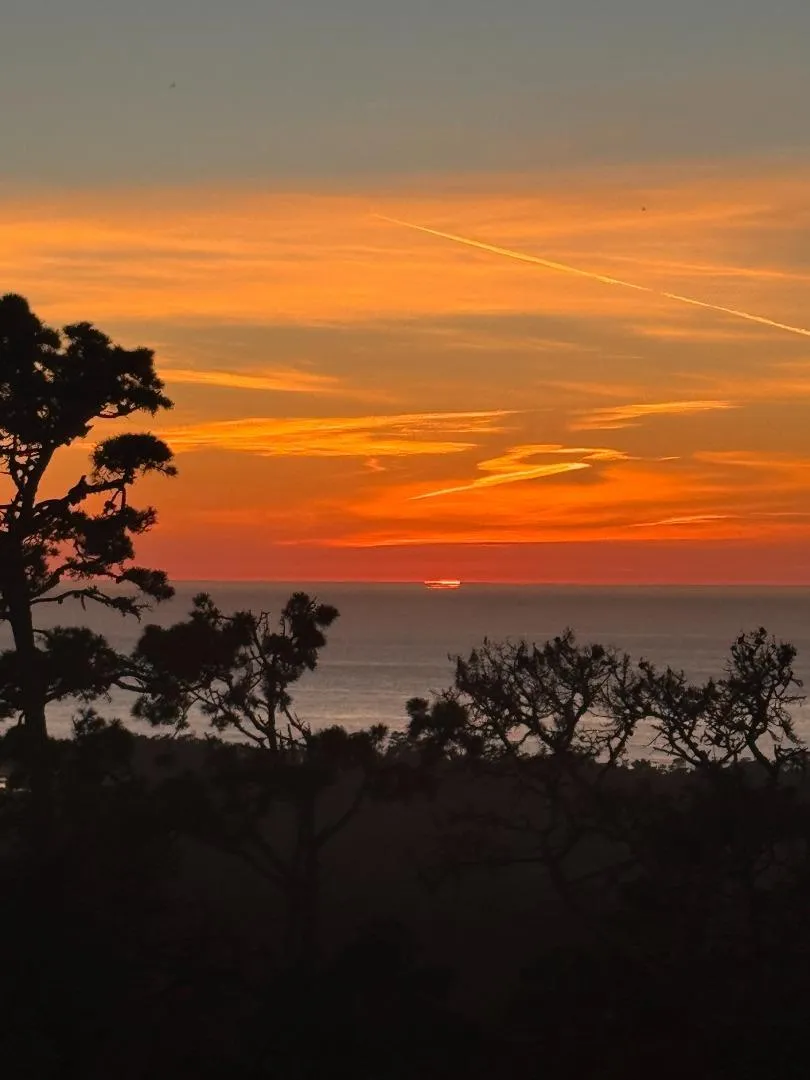 250 Forest Ridge Road #42 Monterey, CA 93940