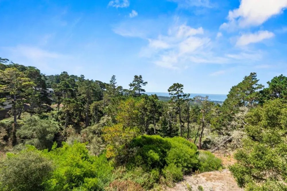 250 Forest Ridge Road #42 Monterey, CA 93940