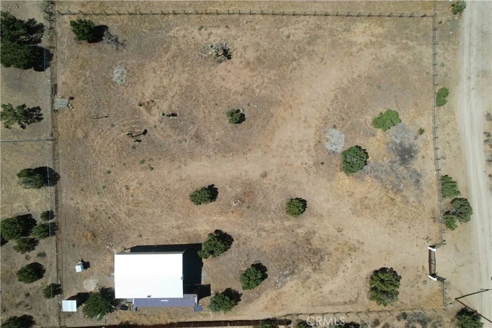 985 Cholla Road Pinon Hills, CA 92372