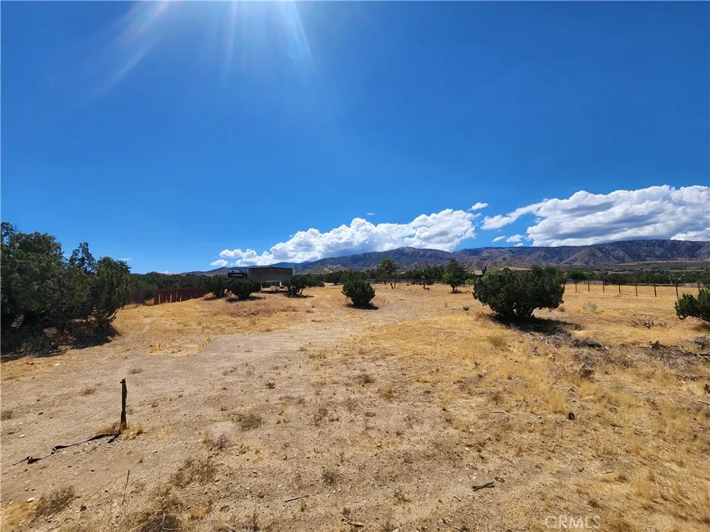 985 Cholla Road Pinon Hills, CA 92372