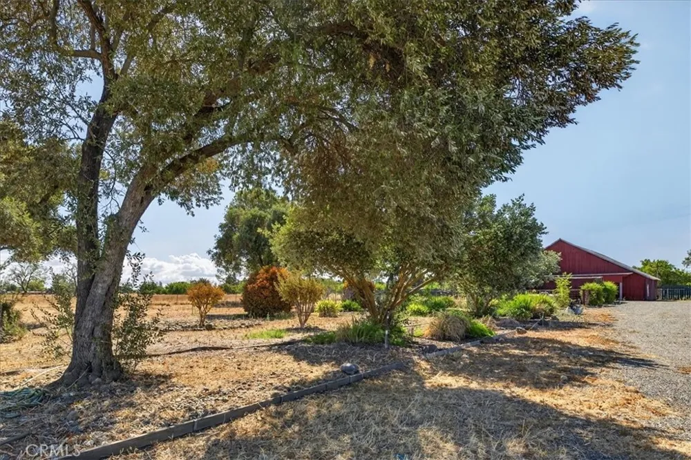 6838 County Road 18 Orland, CA 95963