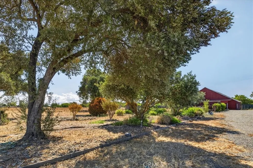 6838 County Road 18 Orland, CA 95963