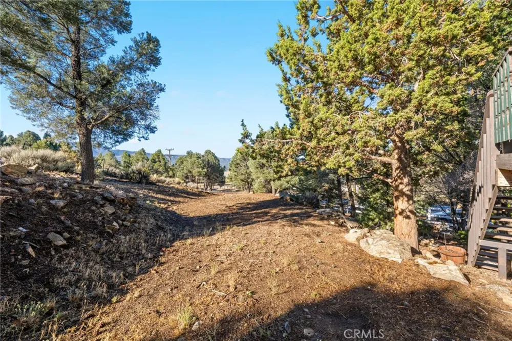 1627 Baldwin Lake Big Bear City, CA 92314