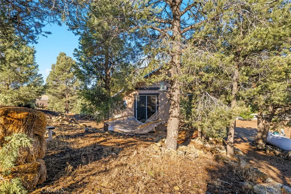 1627 Baldwin Lake Big Bear City, CA 92314