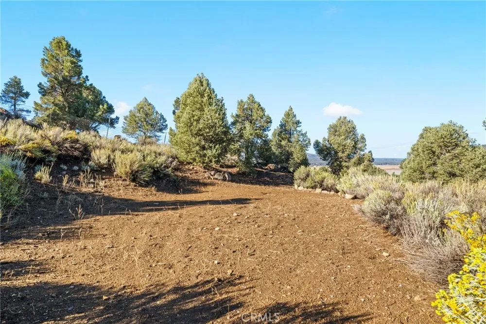 1627 Baldwin Lake Big Bear City, CA 92314
