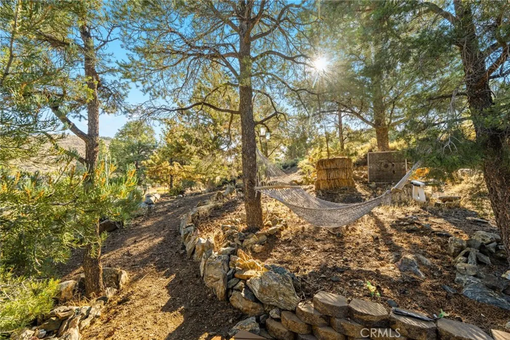 1627 Baldwin Lake Big Bear City, CA 92314