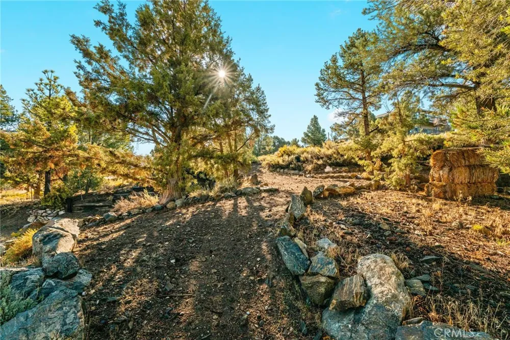 1627 Baldwin Lake Big Bear City, CA 92314