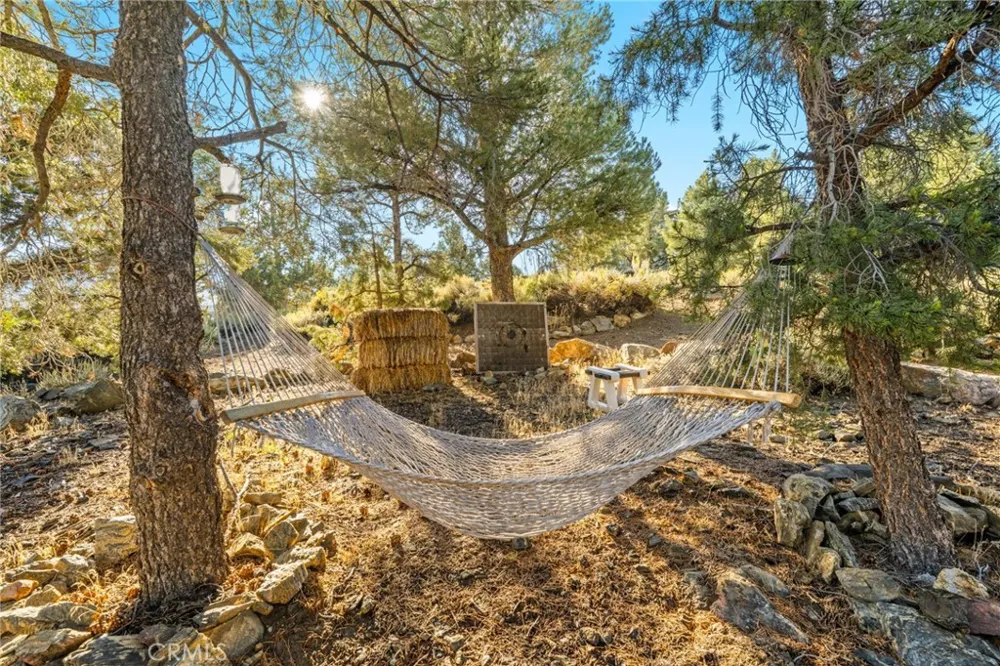 1627 Baldwin Lake Big Bear City, CA 92314