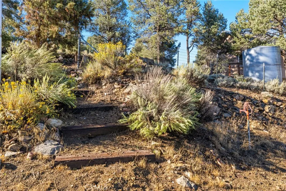 1627 Baldwin Lake Big Bear City, CA 92314