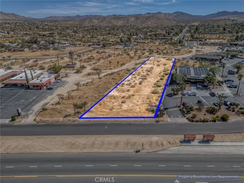 57313 29 Palms