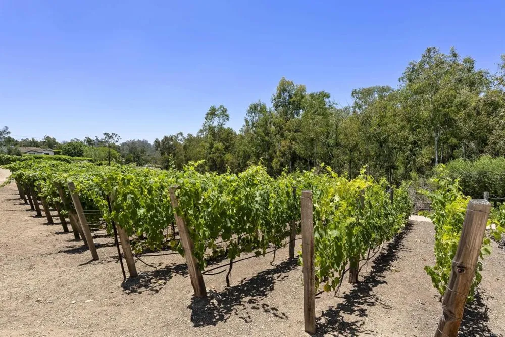5293 La Glorieta Rancho Santa Fe, CA 92067