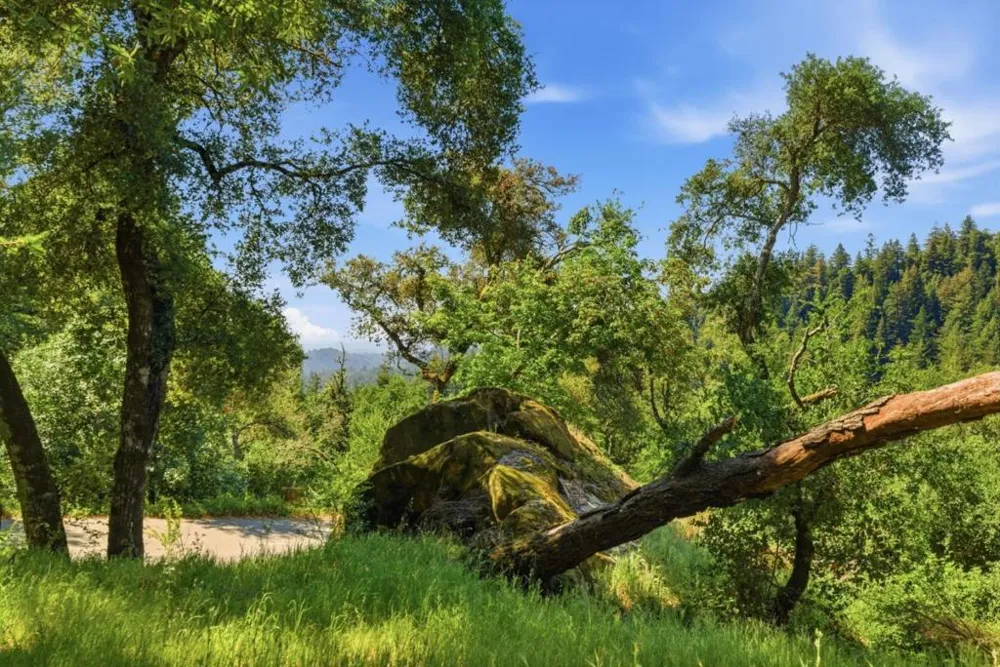 17515 Upper East Zayante Road Los Gatos, CA 95033