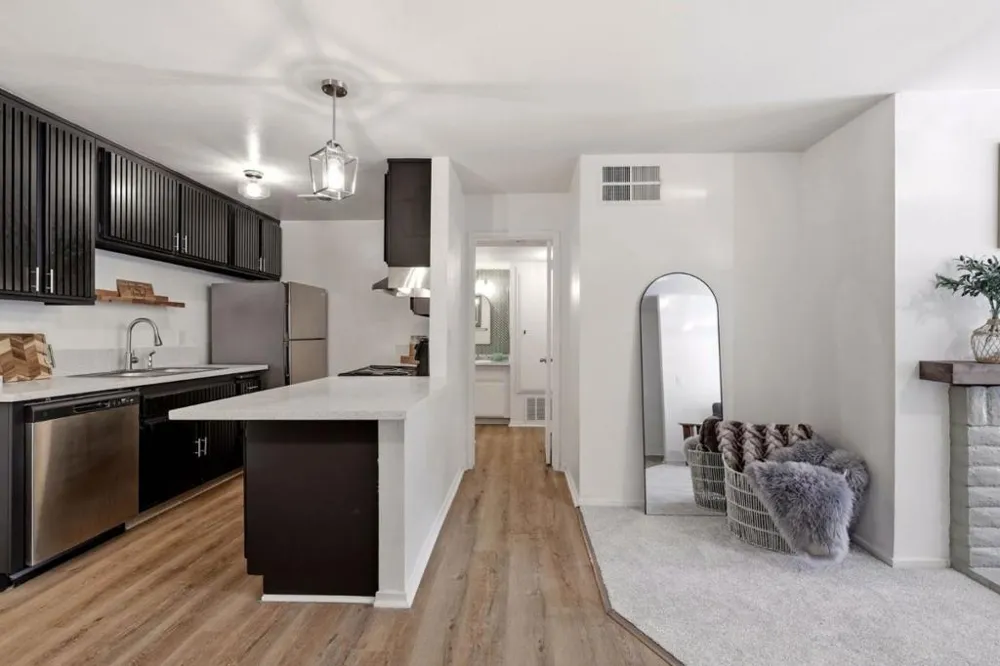 259 Capitol Avenue #268 San Jose, CA 95127