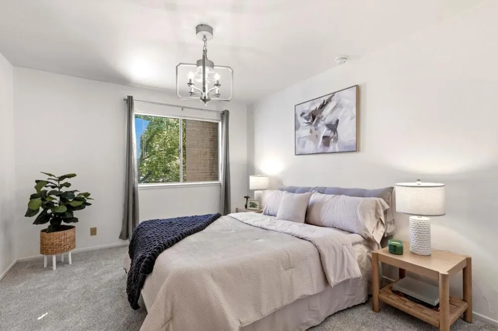 259 Capitol Avenue #268 San Jose, CA 95127