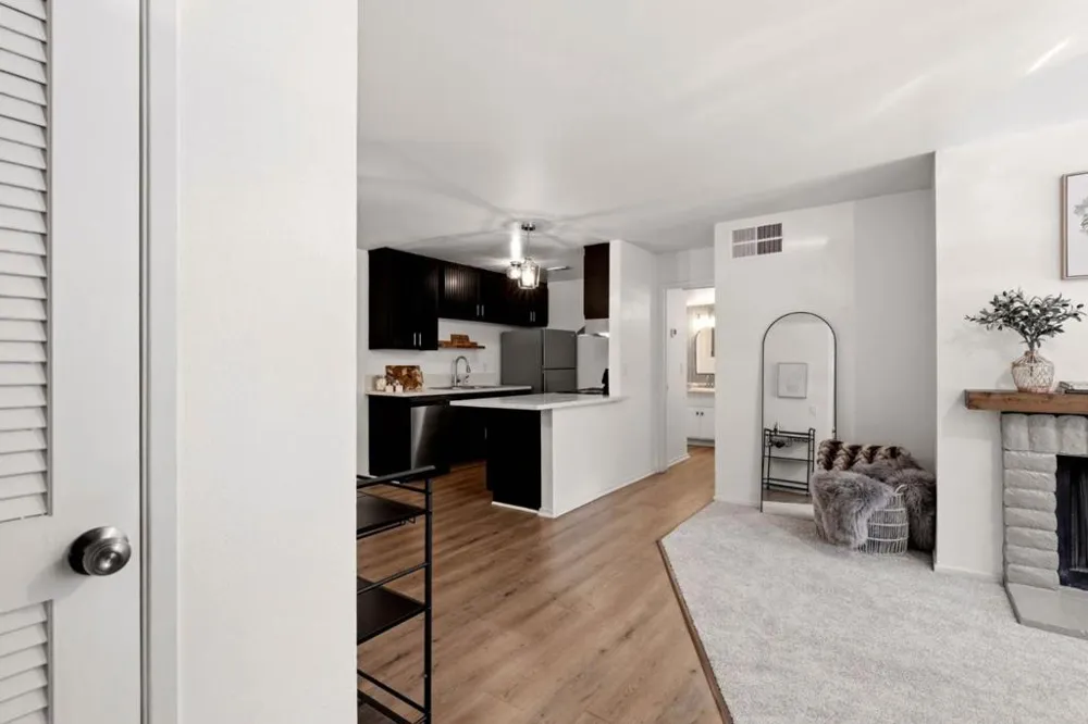 259 Capitol Avenue #268 San Jose, CA 95127