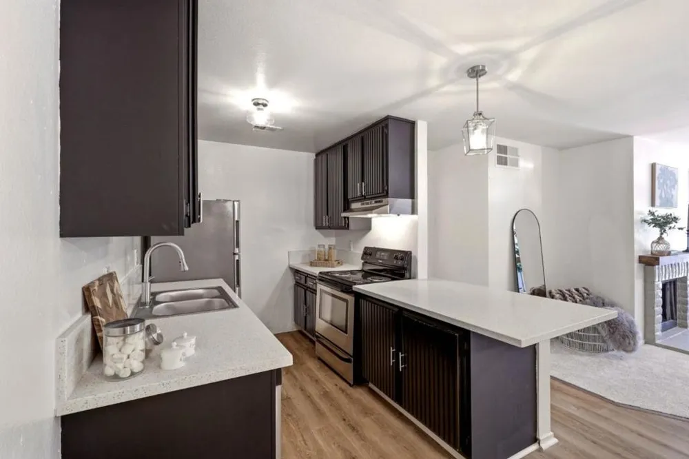 259 Capitol Avenue #268 San Jose, CA 95127