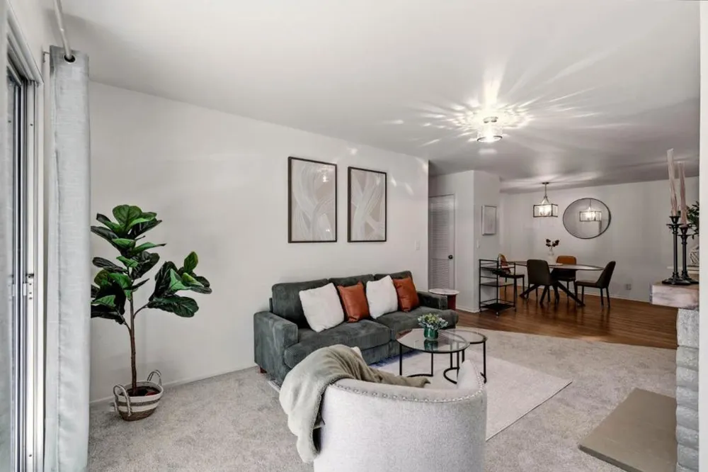 259 Capitol Avenue #268 San Jose, CA 95127