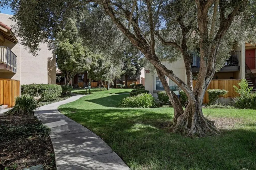 259 Capitol Avenue #268 San Jose, CA 95127