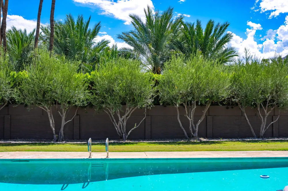 355 W Chino Canyon Road Palm Springs, CA 92262